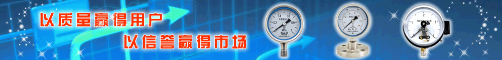 耐震压力表